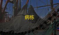 病栋